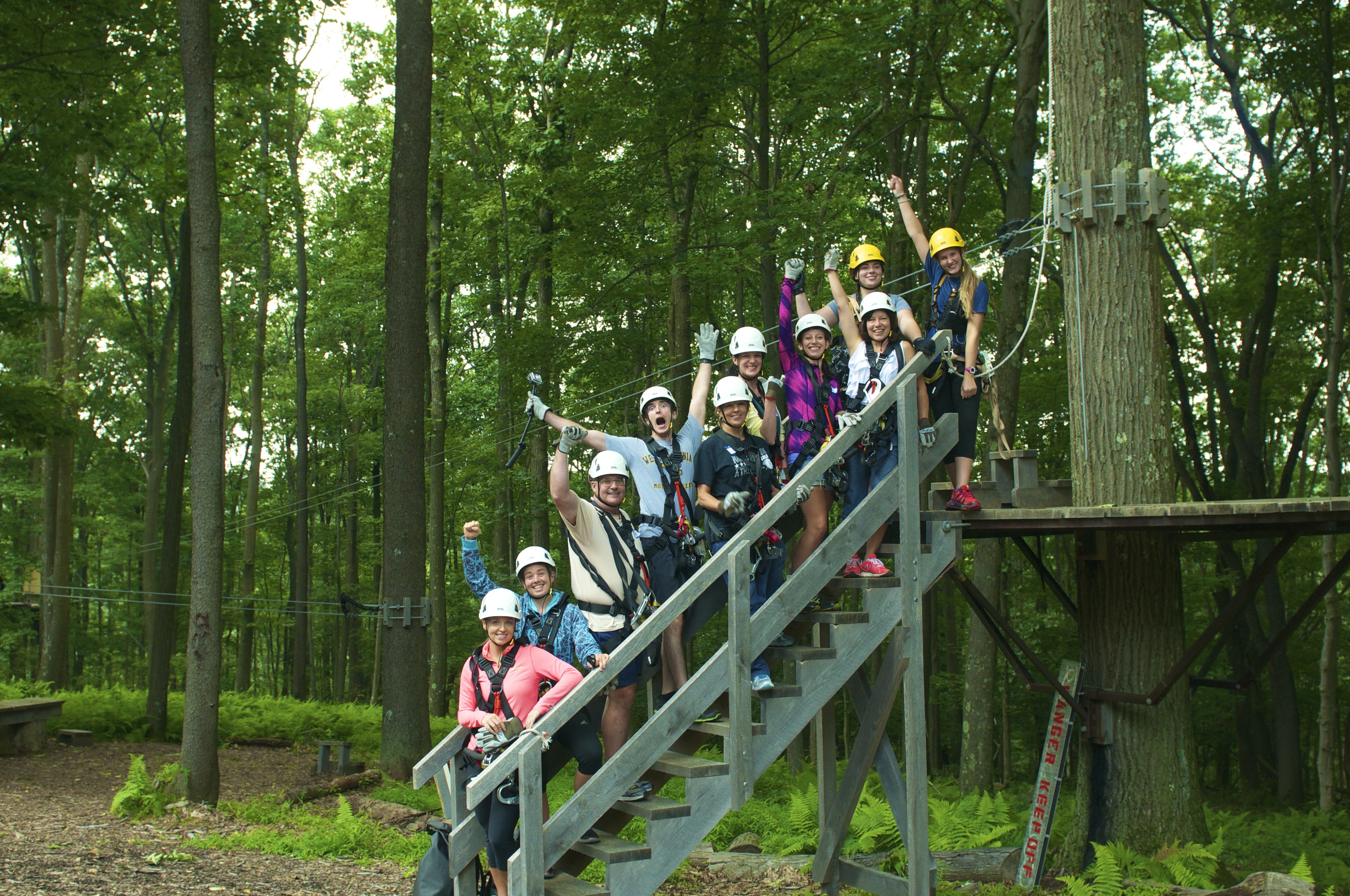 The Science Behind the Zip Lines