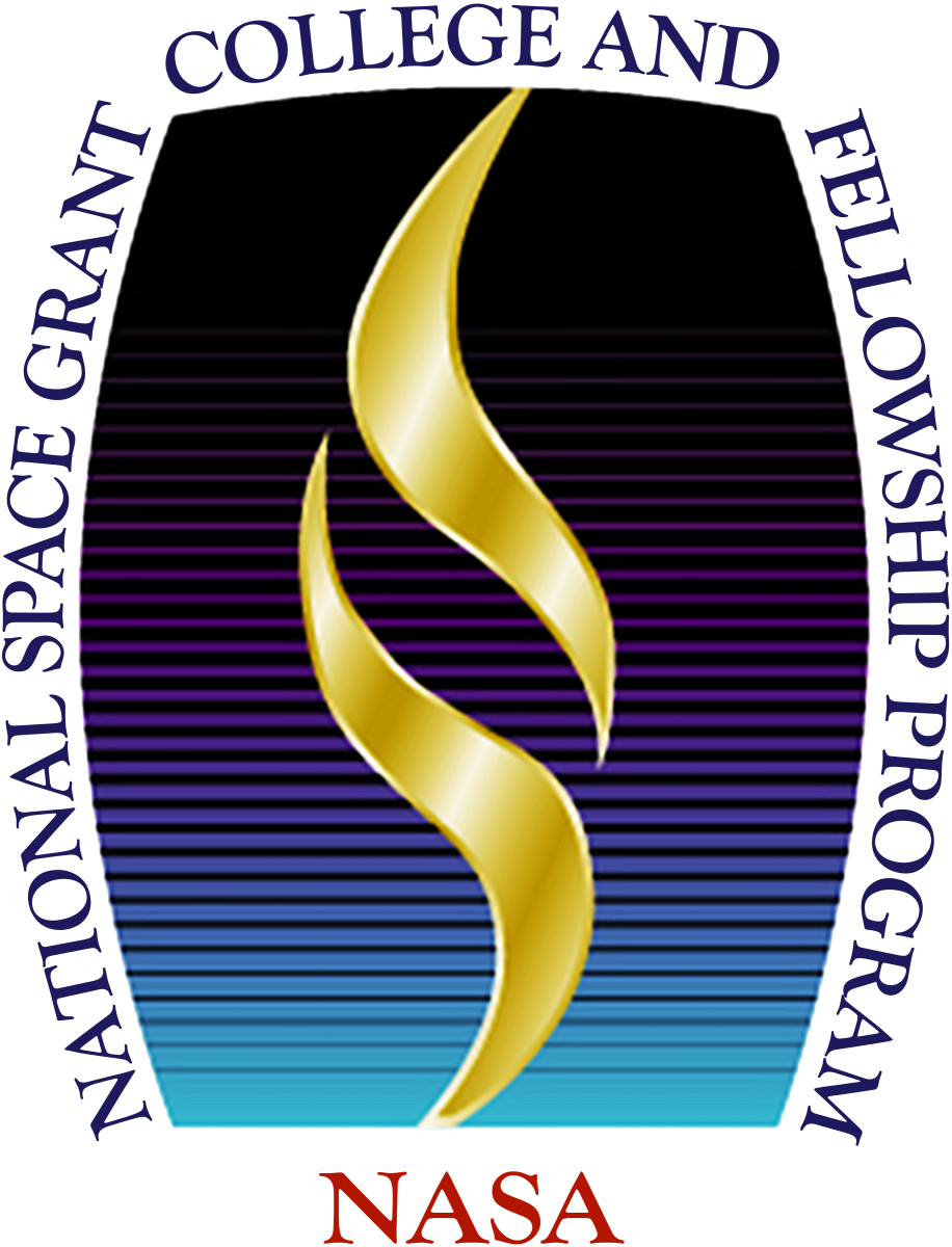 NSG Logo